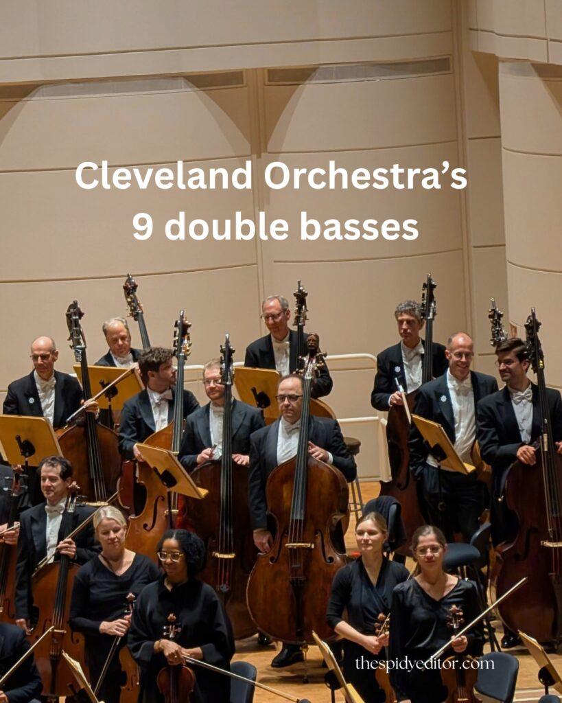 Double Basses