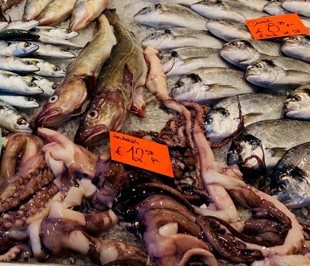 Octopus tentacles, cod, dorado and mackerel