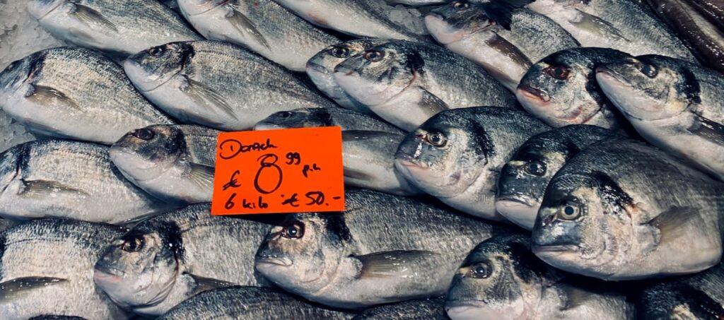 Dorado