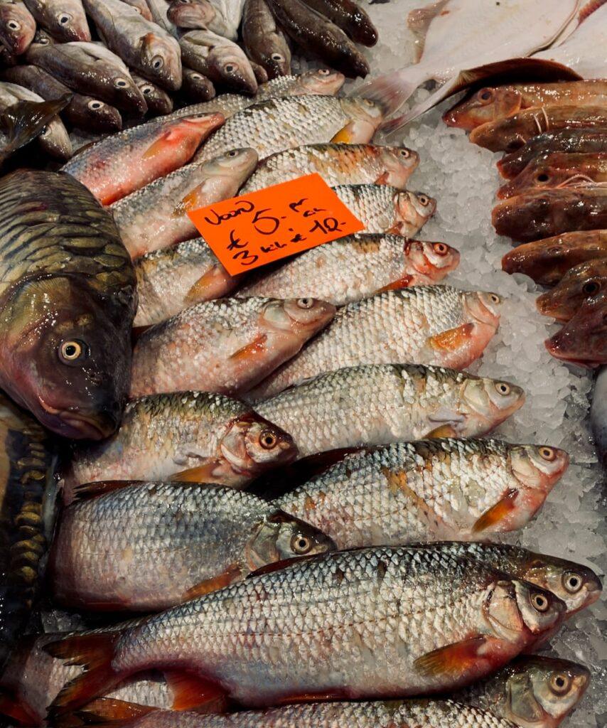 Common (and not posh!) carp, and fresh water roach, good for baking whole or using in asian-inspired recipes