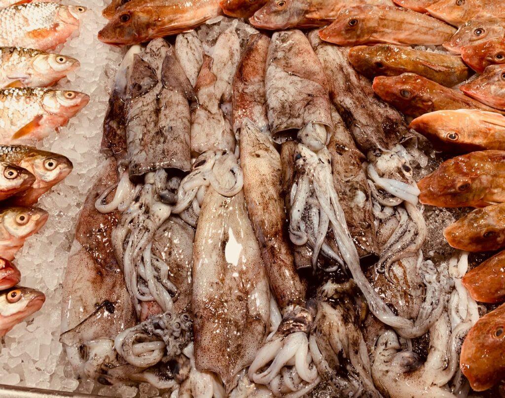 Huge octopus squid ready to be made into calamari, octopus tentacles awaiting some slow cooking, and red bass