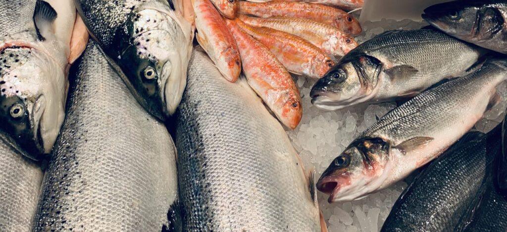 Whole salmon and red mullet