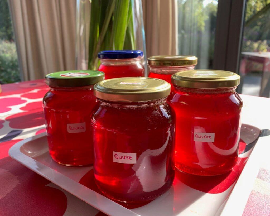 The beautiful pink of the fragrant quince jelly