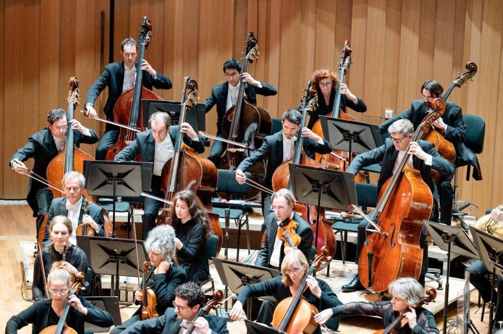 8 Double Basses