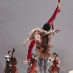 Scottish Ensemble makes the old sound new