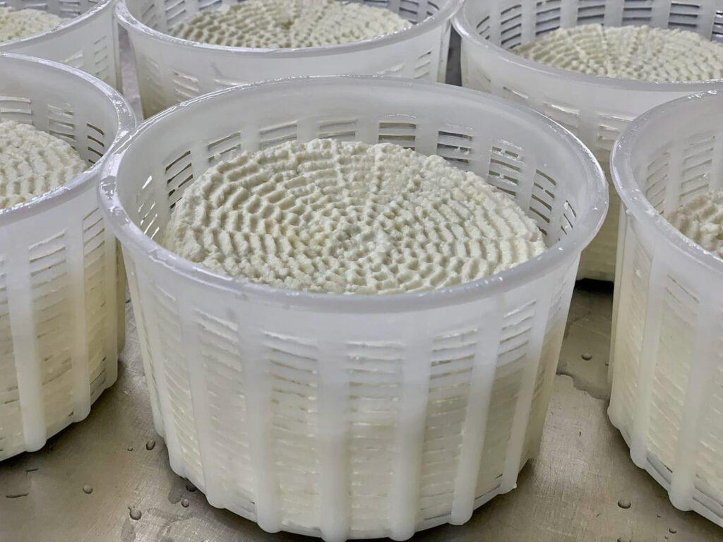 Ricotta