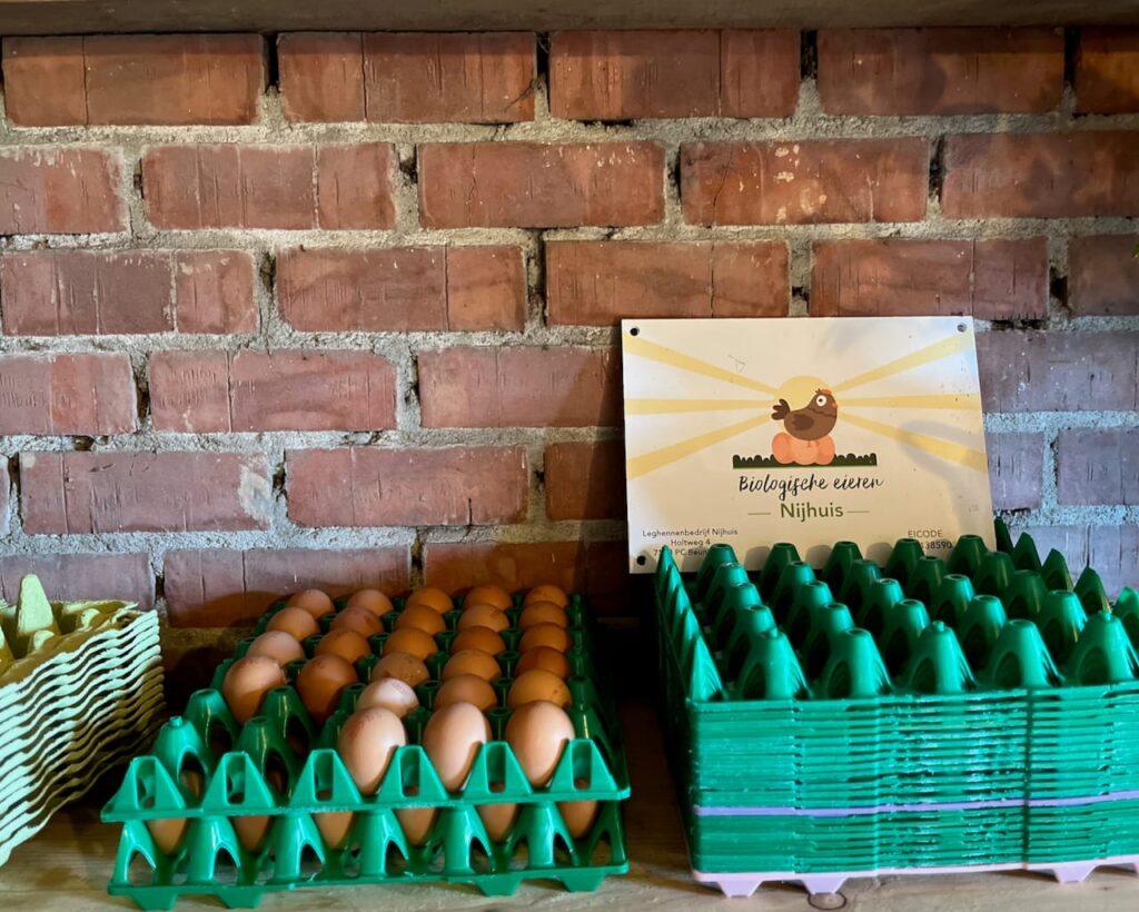 eggs