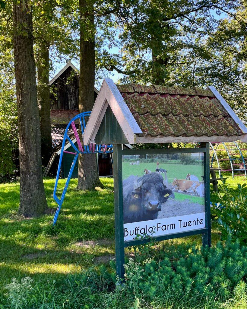Buffalo Farm Twente