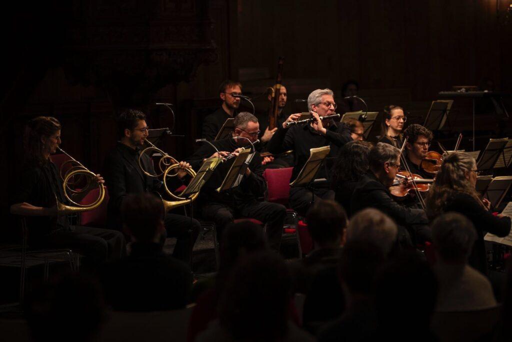 the fabulous musicians