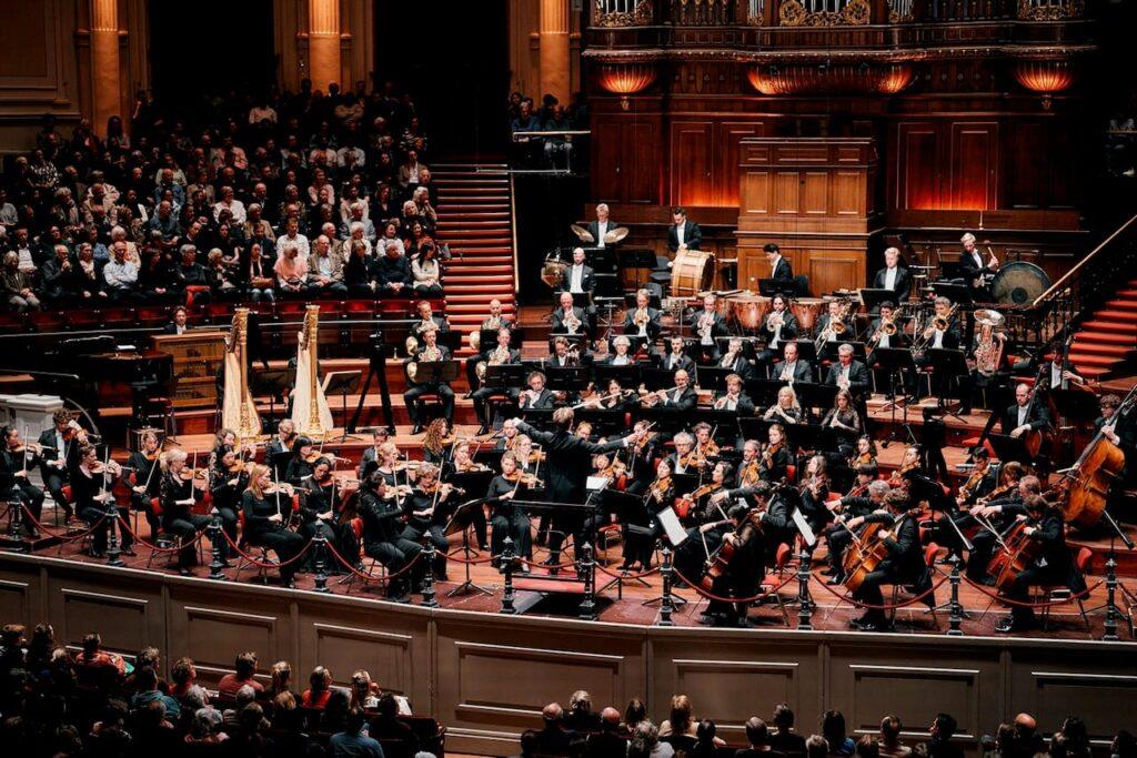 The RCO | Miraculous Mandarin