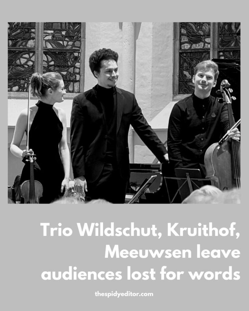 Trio Wildschut, Kruithof, Meeuwsen