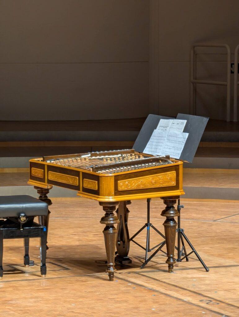 ECHO Rising Stars cimbalom